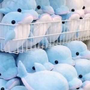 Meet your Posher, Piza